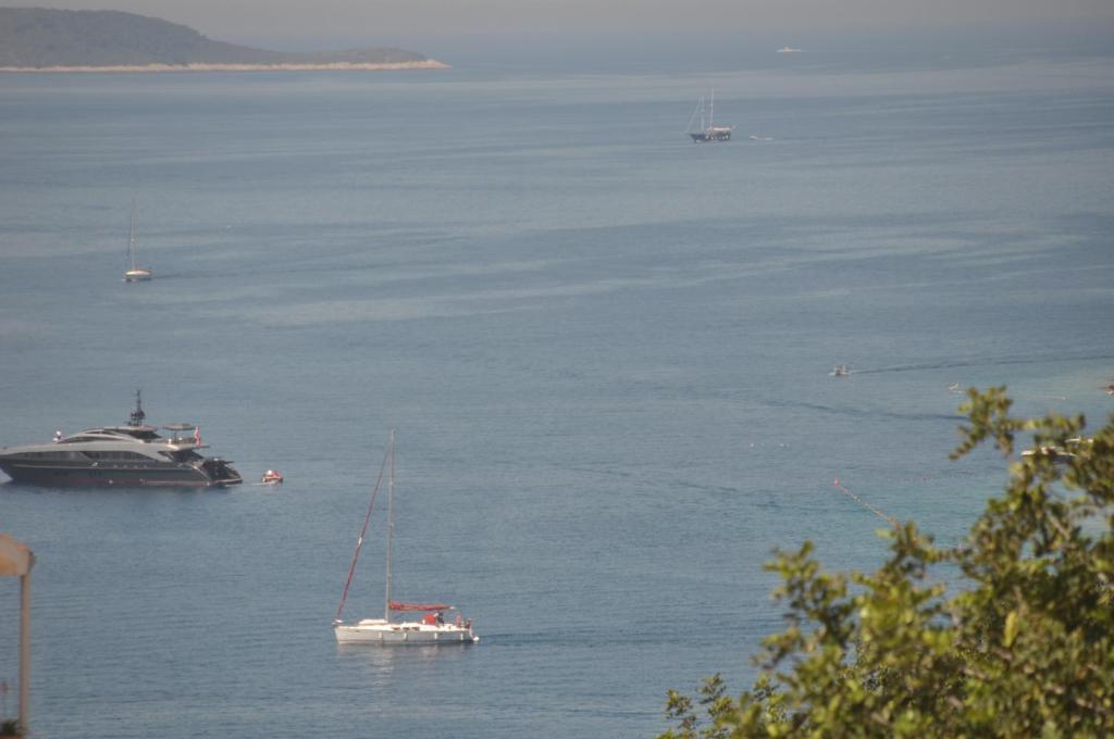 Apartment Stefica Hvar Town